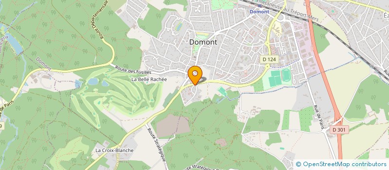 localisation de l'entreprise MONSIEUR STEVE-PATRICE STONE à DOMONT