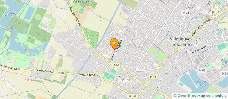 localisation de l'entreprise MONSIEUR STEVEN CHORT  FROUZINS