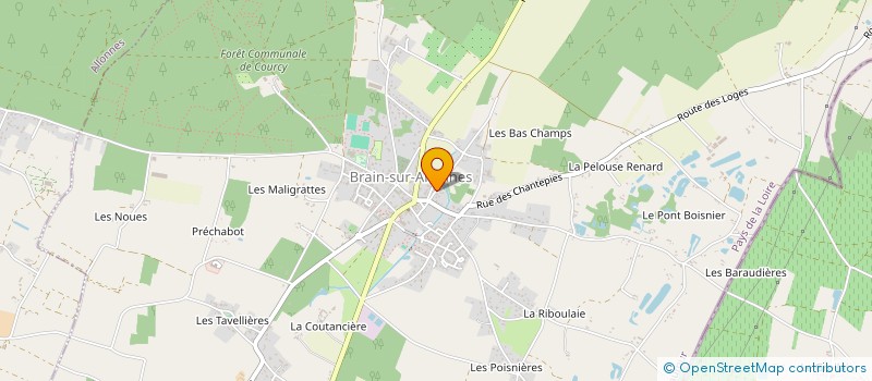 localisation de l'entreprise MONSIEUR STEVEN DEMESTRE  BRAIN-SUR-ALLONNES