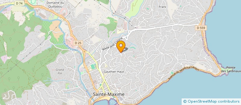 localisation de l'entreprise MONSIEUR STEVEN EVANS à SAINTE-MAXIME