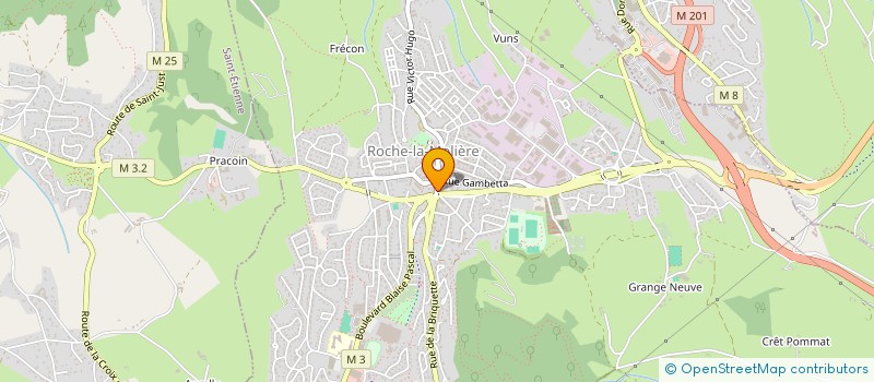 localisation de l'entreprise MONSIEUR STEVEN ROCHET  ROCHE-LA-MOLIERE