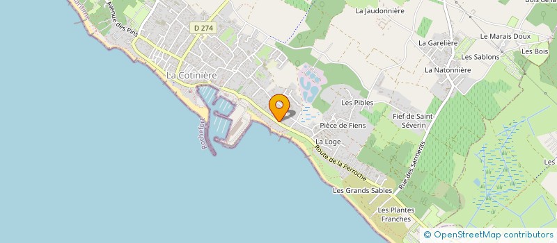 localisation de l'entreprise MONSIEUR STEVEN VIDEAU  SAINT-PIERRE-D'OLERON