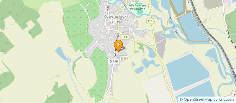 localisation de l'entreprise MONSIEUR STEVENS PASCAL PIOTROWSKI  ROSIERES-AUX-SALINES