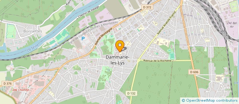 localisation de l'entreprise MONSIEUR SUKHWINDER SINGH à DAMMARIE-LES-LYS