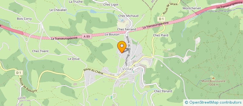 localisation de l'entreprise MONSIEUR SVETISLAV VASILJEVIC  VIOLAY