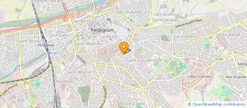 localisation de l'entreprise MONSIEUR SWAN BOURGET  PERPIGNAN