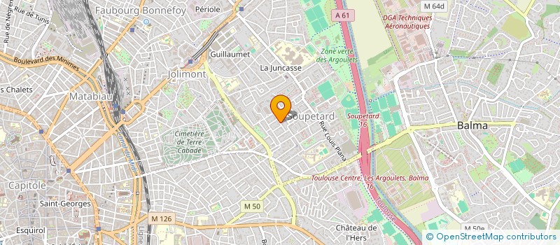 localisation de l'entreprise MONSIEUR SWAN GOZIM à TOULOUSE