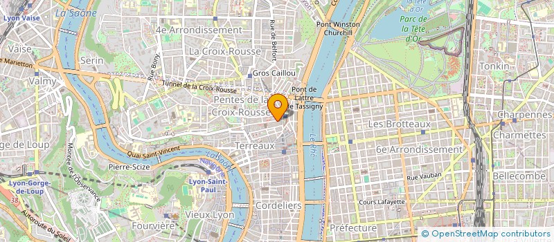 localisation de l'entreprise MONSIEUR SYED AHMED  LYON