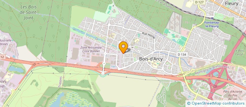 localisation de l'entreprise MONSIEUR SYLEM ICARRE  BOIS-D'ARCY