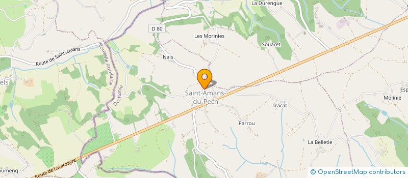 localisation de l'entreprise MONSIEUR SYLVAIN BAGLIERI à SAINT-AMANS-DU-PECH