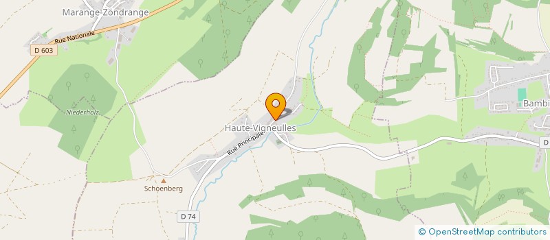 localisation de l'entreprise MONSIEUR SYLVAIN BECKER  HAUTE-VIGNEULLES