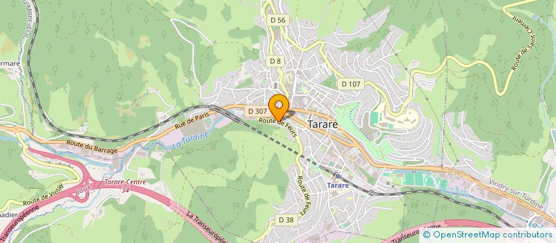 localisation de l'entreprise MONSIEUR SYLVAIN BERGER  TARARE