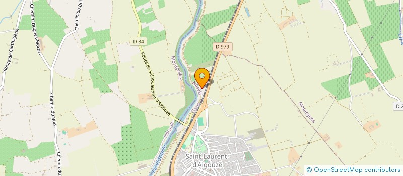 localisation de l'entreprise MONSIEUR SYLVAIN BONNAFOUX  SAINT-LAURENT-D'AIGOUZE