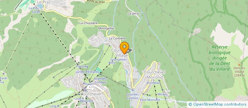 localisation de l'entreprise MONSIEUR SYLVAIN BOREL à COURCHEVEL