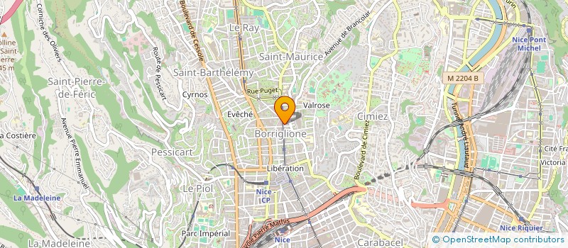 localisation de l'entreprise MONSIEUR SYLVAIN BORG à NICE
