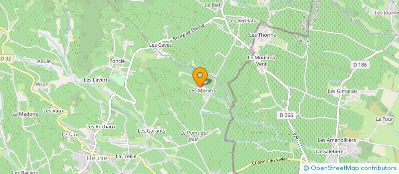 localisation de l'entreprise MONSIEUR SYLVAIN BOTHEREAU à FLEURIE