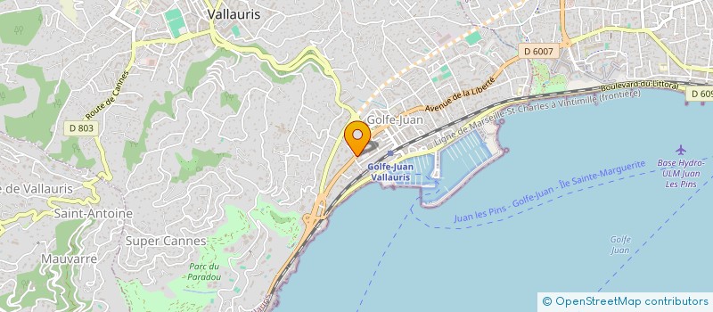 localisation de l'entreprise MONSIEUR SYLVAIN BRAHAMI  VALLAURIS