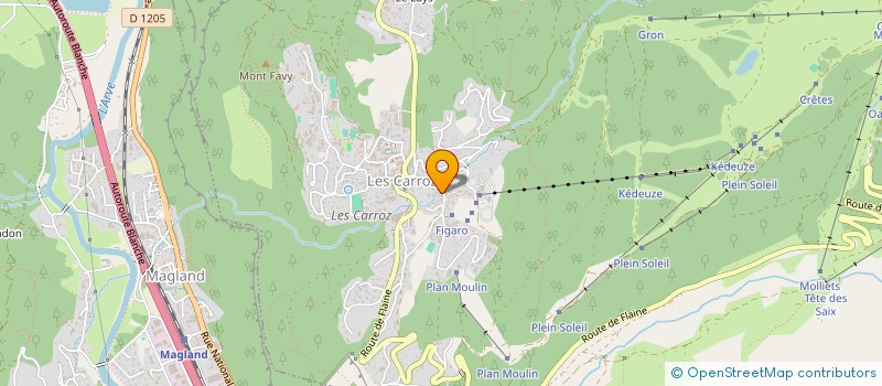 localisation de l'entreprise MONSIEUR SYLVAIN BRESSAUD  ARACHES-LA-FRASSE