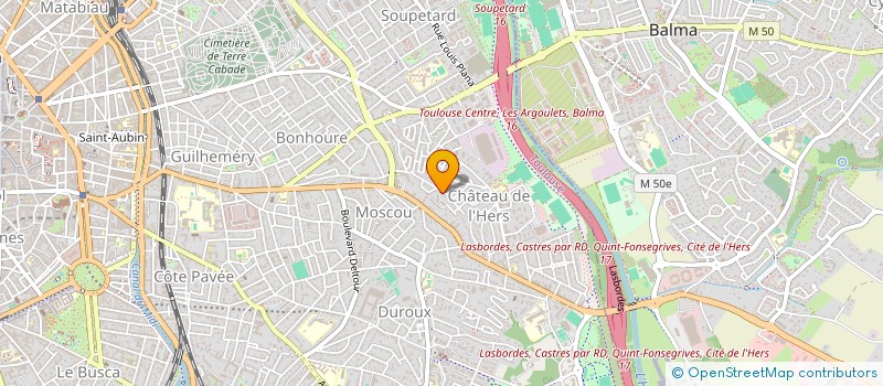 localisation de l'entreprise MONSIEUR SYLVAIN CHERY à TOULOUSE