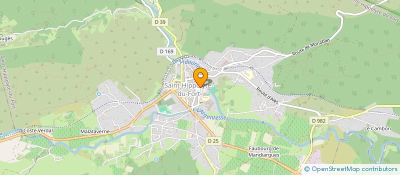 localisation de l'entreprise MONSIEUR SYLVAIN CHEVALIER  SAINT-HIPPOLYTE-DU-FORT