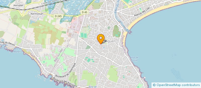 localisation de l'entreprise MONSIEUR SYLVAIN COLLIOT  LE POULIGUEN