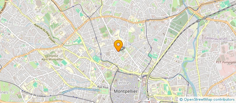 localisation de l'entreprise MONSIEUR SYLVAIN DALICHOUX à MONTPELLIER