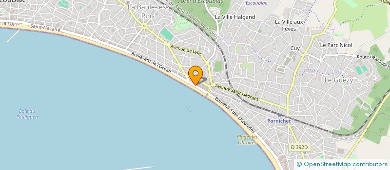 localisation de l'entreprise MONSIEUR SYLVAIN DELEPINE à LA BAULE-ESCOUBLAC