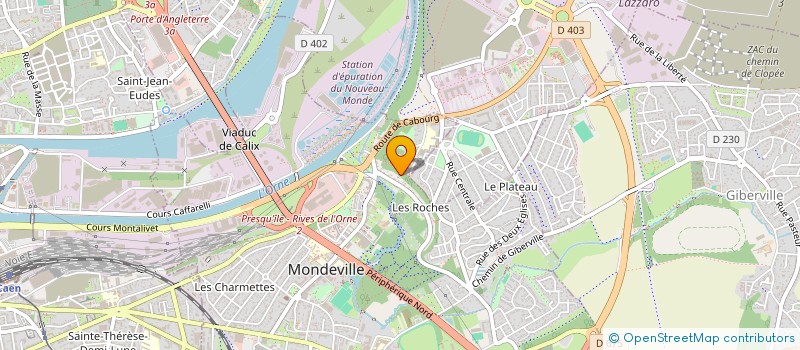 localisation de l'entreprise MONSIEUR SYLVAIN DUCHEMIN  MONDEVILLE