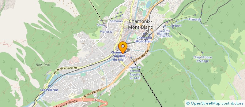 localisation de l'entreprise MONSIEUR SYLVAIN GILLET  CHAMONIX-MONT-BLANC