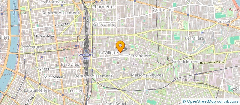 localisation de l'entreprise MONSIEUR SYLVAIN GUESDON  LYON