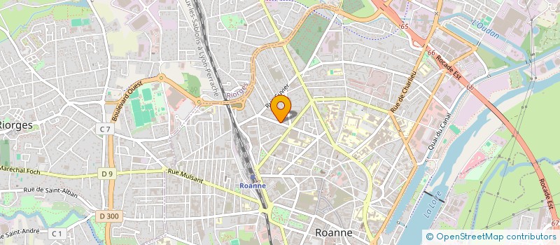 localisation de l'entreprise MONSIEUR SYLVAIN JOORIS  ROANNE