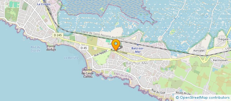 localisation de l'entreprise MONSIEUR SYLVAIN LALYCAN  BATZ-SUR-MER