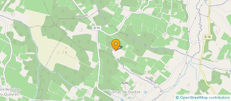 localisation de l'entreprise MONSIEUR SYLVAIN LAPEYRE  PELLEGRUE