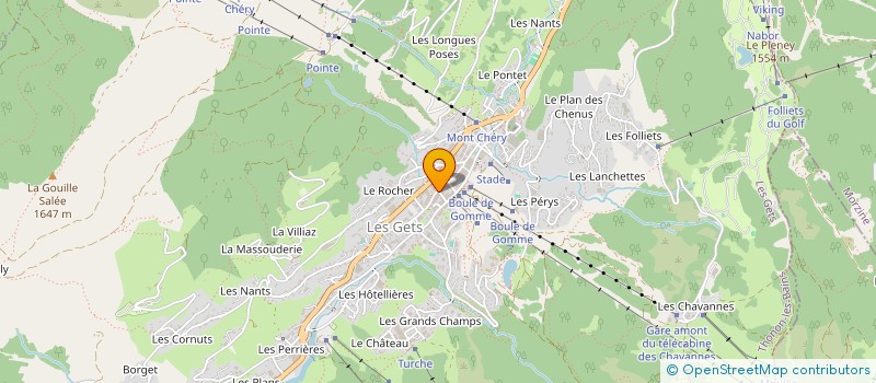 localisation de l'entreprise MONSIEUR SYLVAIN LECOVIZ à LES GETS