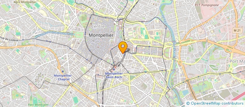localisation de l'entreprise MONSIEUR SYLVAIN LEPOITTEVIN à MONTPELLIER