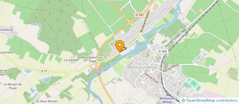 localisation de l'entreprise MONSIEUR SYLVAIN LUCAS à MONTREUIL-BELLAY