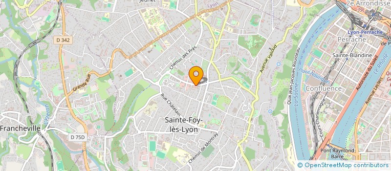 localisation de l'entreprise MONSIEUR SYLVAIN MARTINEZ  SAINTE-FOY-LES-LYON