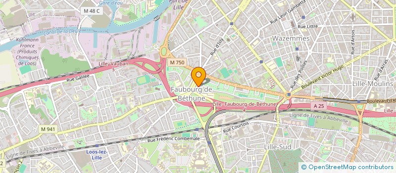 localisation de l'entreprise MONSIEUR SYLVAIN MICLOT à LILLE