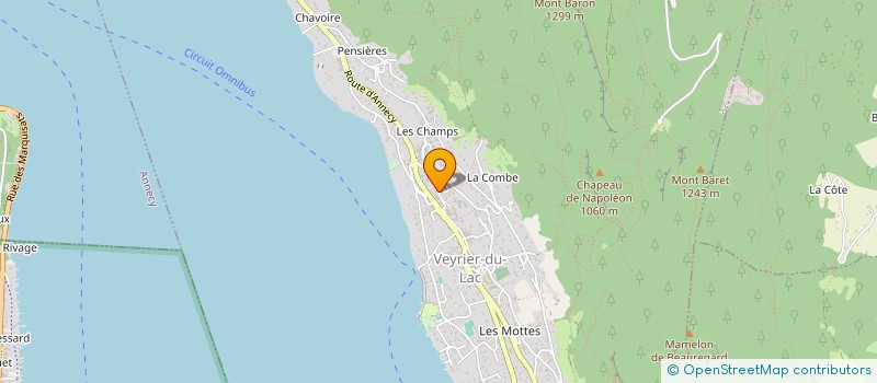 localisation de l'entreprise MONSIEUR SYLVAIN PASSAMANI  VEYRIER-DU-LAC