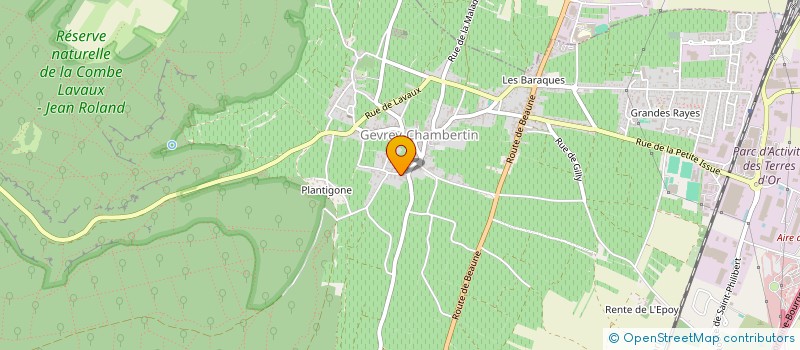 localisation de l'entreprise MONSIEUR SYLVAIN RAPHANAUD  GEVREY-CHAMBERTIN