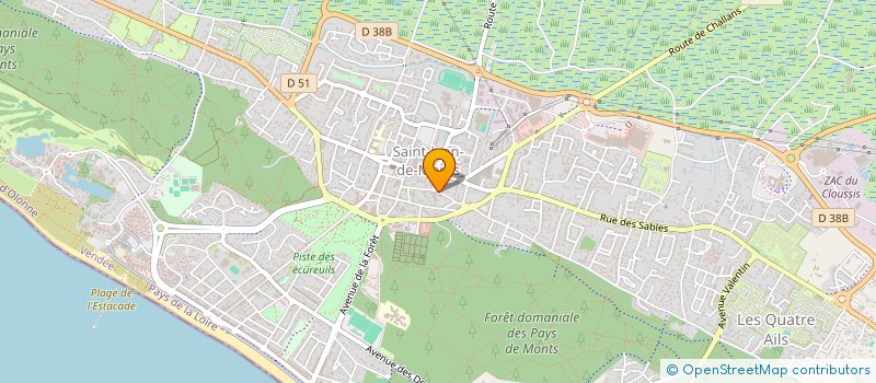 localisation de l'entreprise MONSIEUR SYLVAIN RAUTURIER  SAINT-JEAN-DE-MONTS