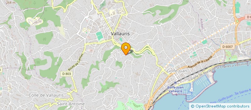 localisation de l'entreprise MONSIEUR SYLVAIN RIERA DEURRIEUX  VALLAURIS