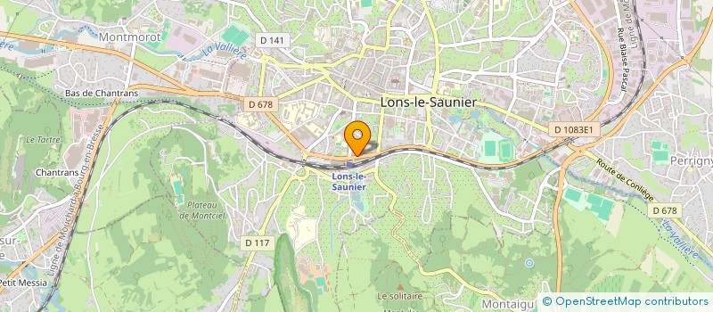 localisation de l'entreprise MONSIEUR SYLVAIN ROY  LONS-LE-SAUNIER