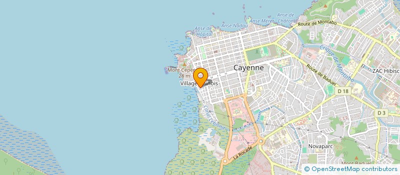 localisation de l'entreprise MONSIEUR SYLVAIN SAPHANOR à CAYENNE