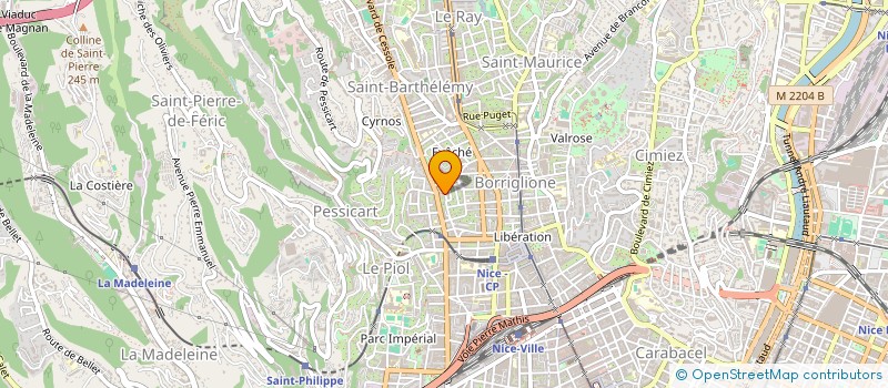 localisation de l'entreprise MONSIEUR SYLVAIN VANELLE à NICE