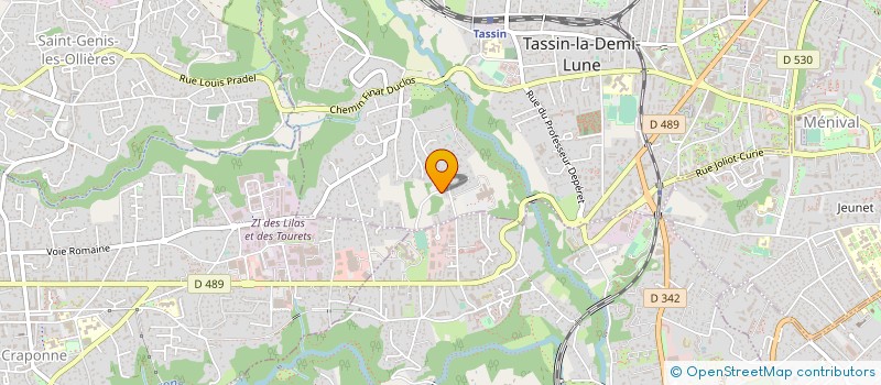 localisation de l'entreprise MONSIEUR SYLVAIN VESSIERE  TASSIN-LA-DEMI-LUNE