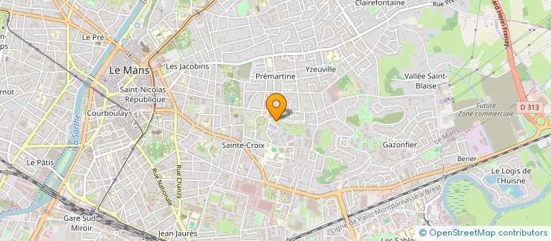 localisation de l'entreprise MONSIEUR SYLVAIN VIES  LE MANS