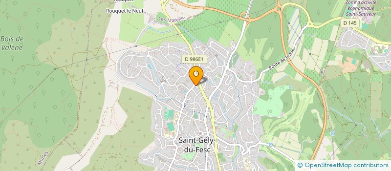 localisation de l'entreprise MONSIEUR SYLVAIN VIEUVEL  SAINT-GELY-DU-FESC