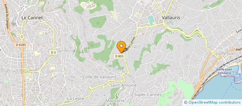 localisation de l'entreprise MONSIEUR SYLVAIN ZAVAGLIA  VALLAURIS