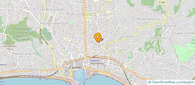 localisation de l'entreprise MONSIEUR SYLVAIN ZIELONER à CANNES